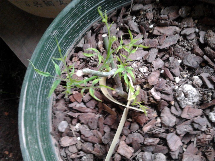2012-04-19 10.05.04.jpg