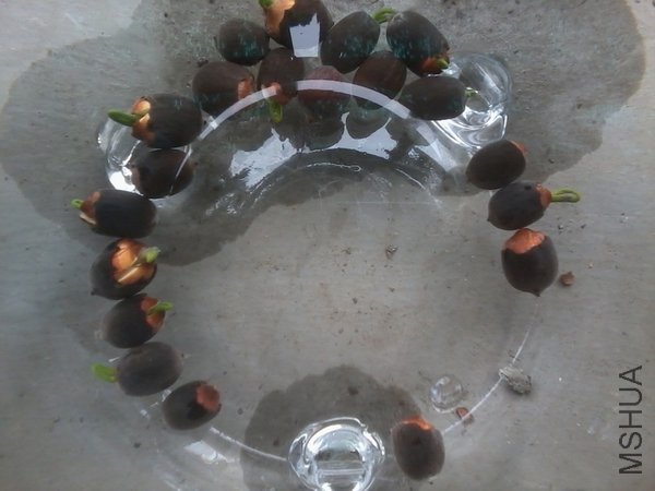 2012-04-19 12.06.57.jpg