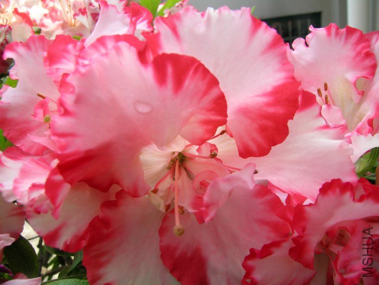 DSCN5245.JPG