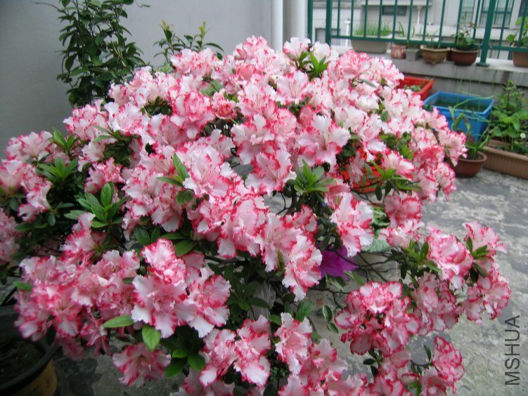 DSCN5269.JPG