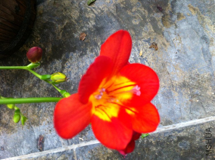 ���ⷿ�Ļ���Ƭ 018.jpg