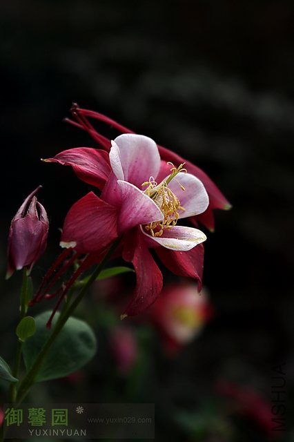 IMGP3905.jpg
