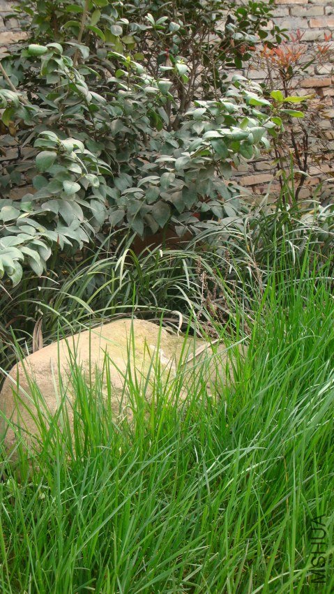 DSC09899.JPG