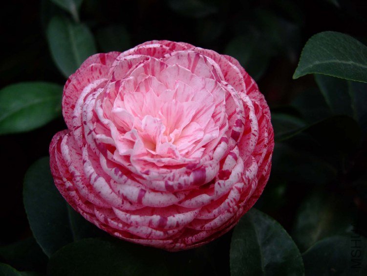 ������ 2012-4-19f 018.jpg