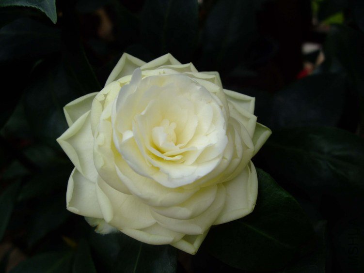 �ƴ� 2012-4-19f 004.jpg