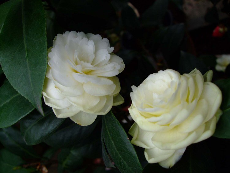 �ƴ� 2012-4-19f 005.jpg