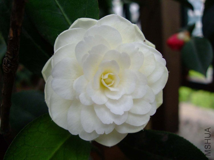 �ƴ� 2012-4-19f 008.jpg