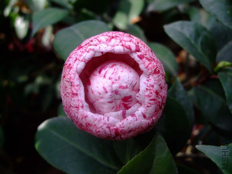 ������ 2012-4-18f 064.jpg