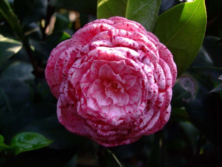 ������ 2012-4-18f 068.jpg