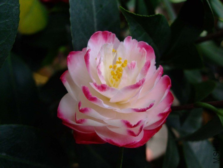 ����ã 2012-4-18f 065.jpg