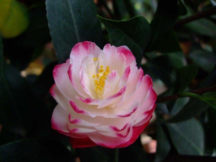 ����ã 2012-4-18f 066.jpg
