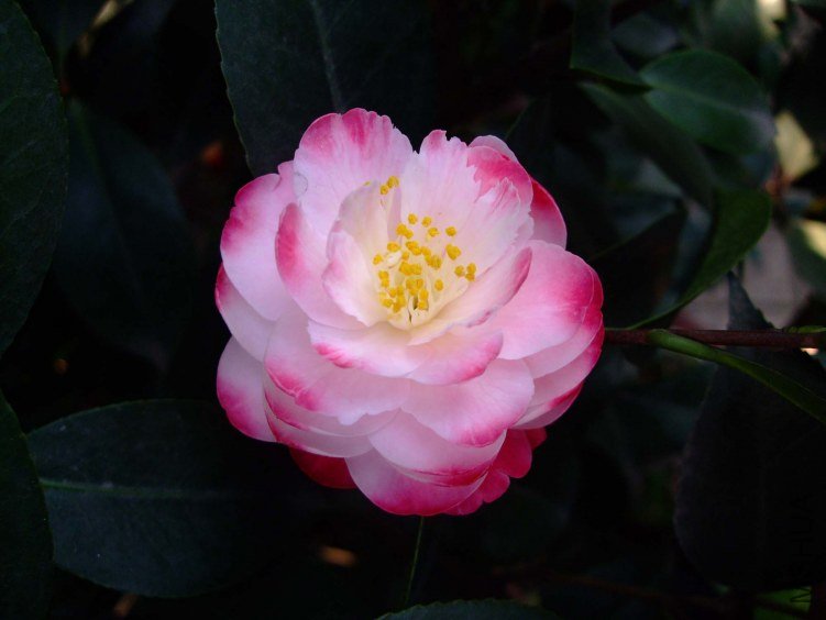 ����ã 2012-4-18f 073.jpg