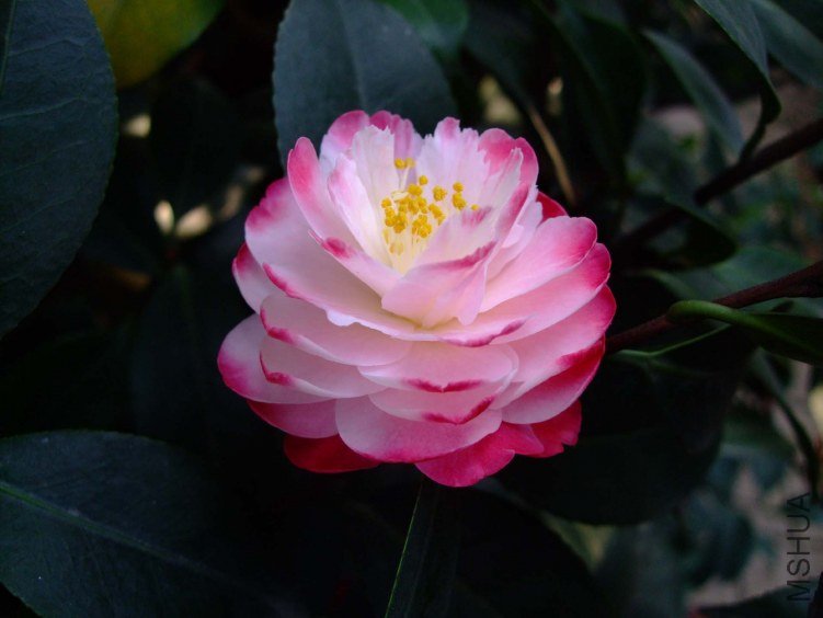 ����ã 2012-4-18f 074.jpg