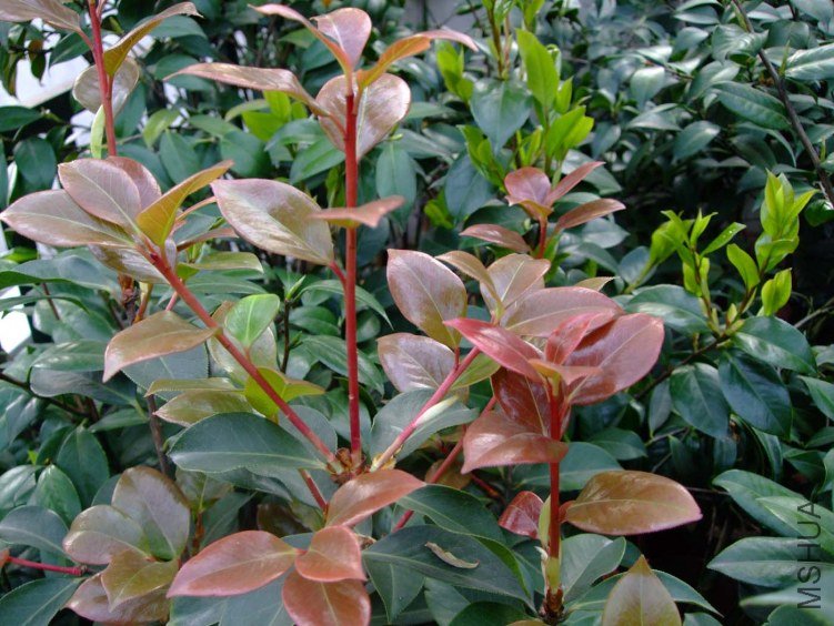 ���� 2012-4-18f 045.jpg