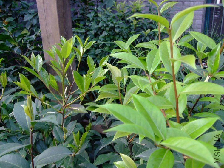 ���� 2012-4-18f 046.jpg