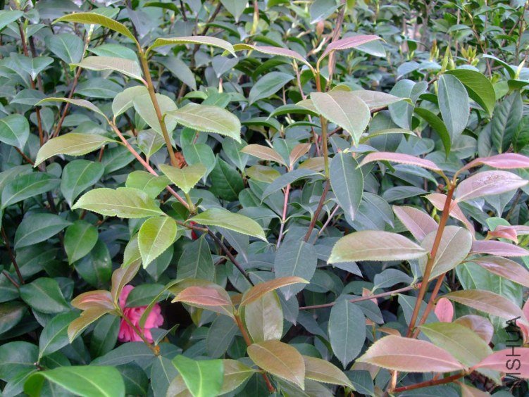 ���� 2012-4-18f 048.jpg