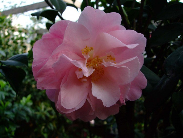 ��չʱ�� 2012-4-18f 054.jpg