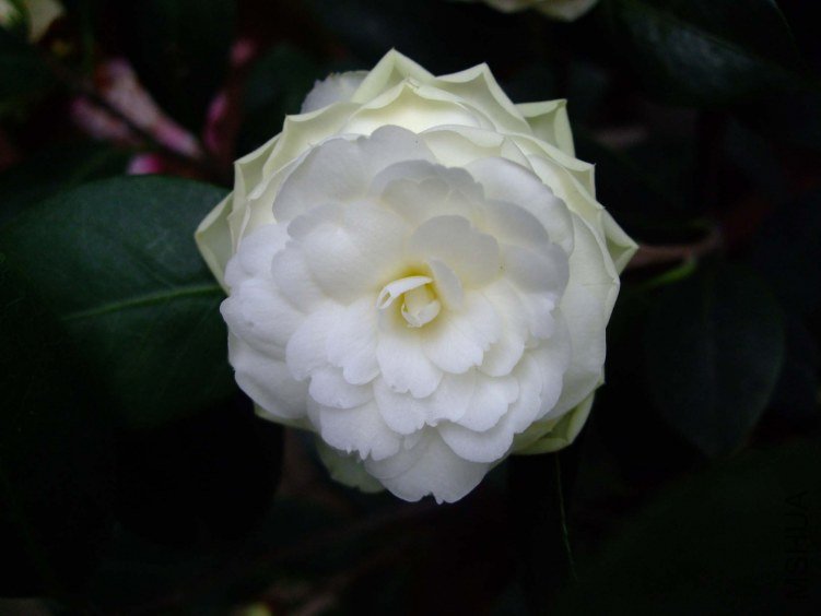 �ƴ� 2012-4-18f 055.jpg