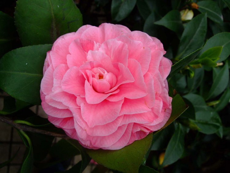 ��� 2012-4-18f 030.jpg
