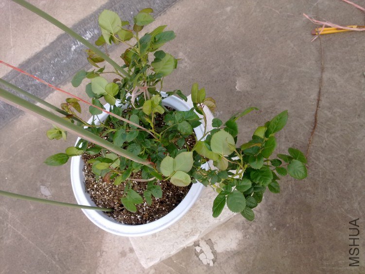 201204211142.jpg