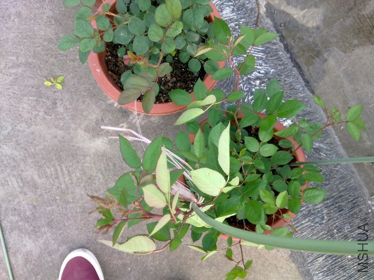 201204211145.jpg