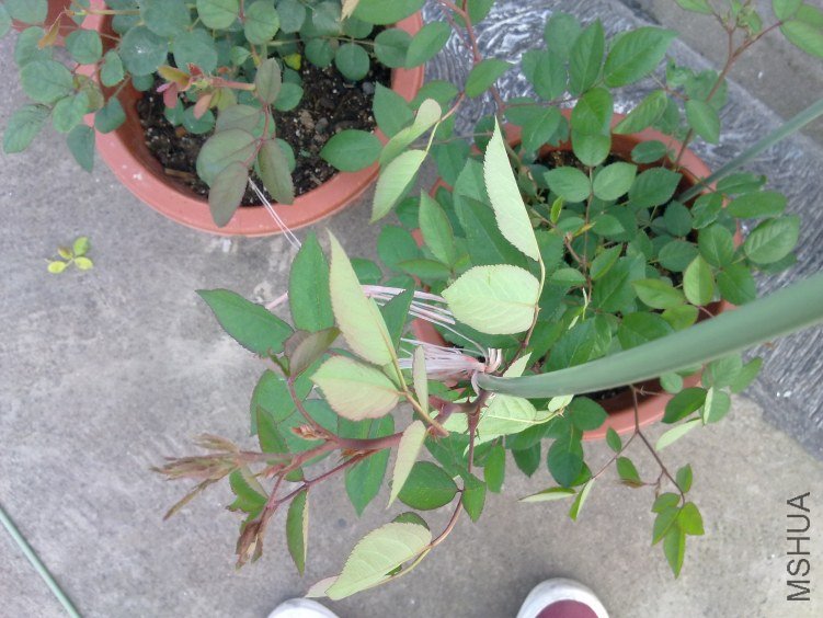 201204211144.jpg