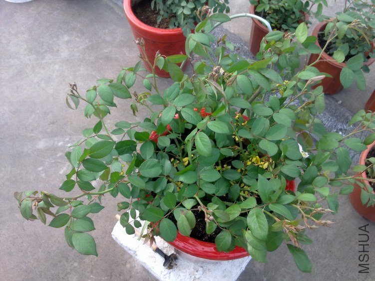 201204211148.jpg