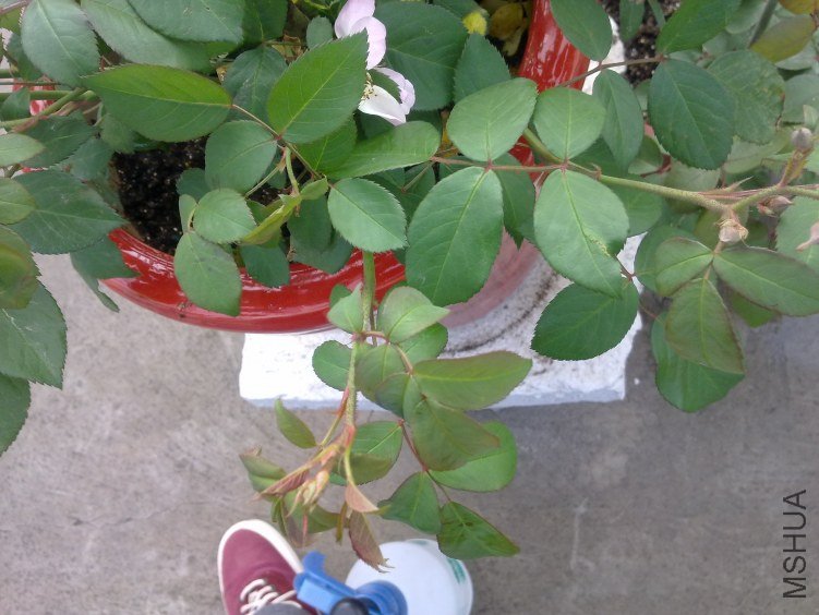 201204211149.jpg