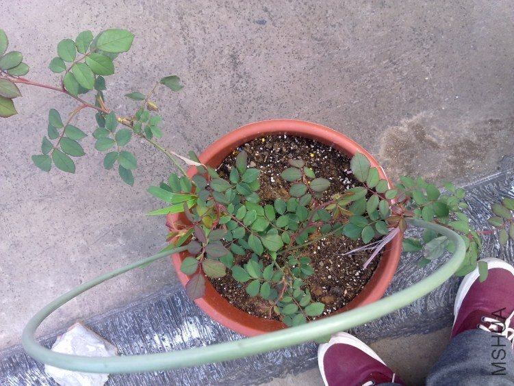 201204211147.jpg