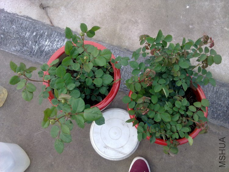 201204211150.jpg