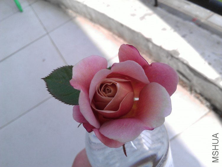 WP_000203.jpg