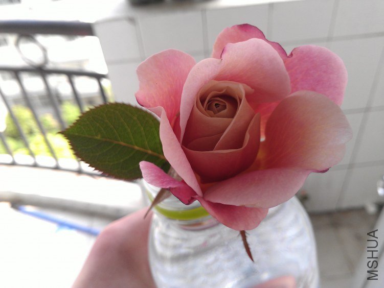 WP_000204.jpg