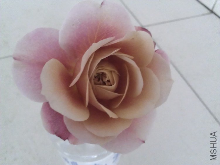 WP_000208.jpg