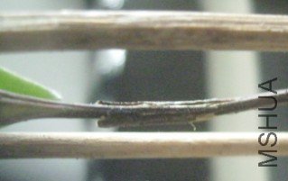 _G3W22P[2(`0X}8NEO67ER3.jpg
