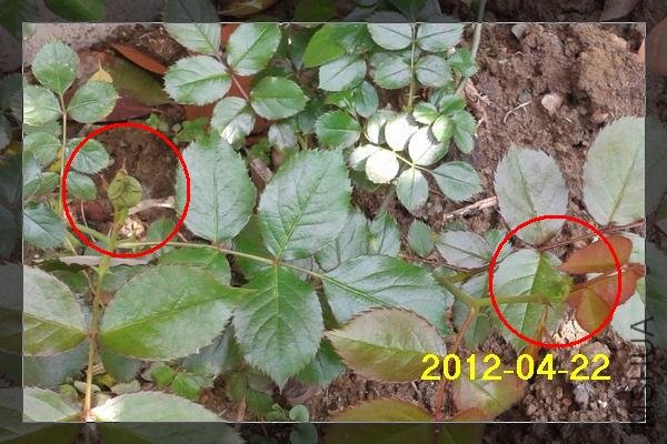 2012-04-22 11.01.28.jpg