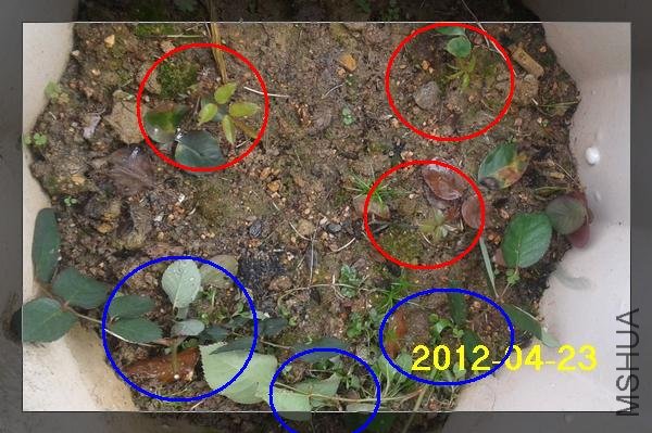 2012-04-23 07.41.49.jpg