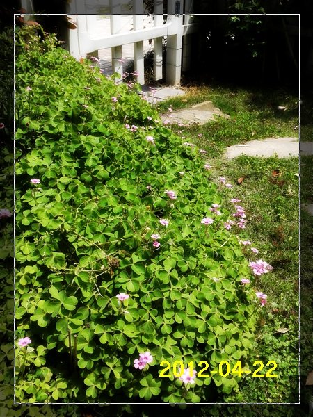 2012-04-22 10.59.39.jpg