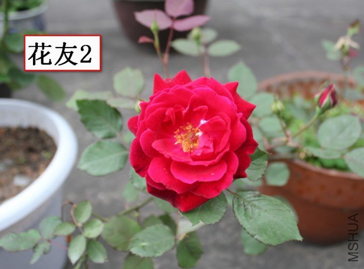 2012-04-22_120740.jpg