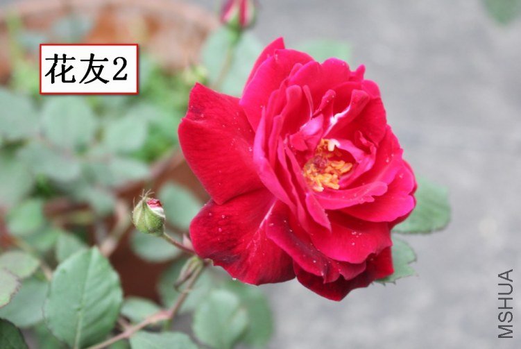 2012-04-22_120929.jpg