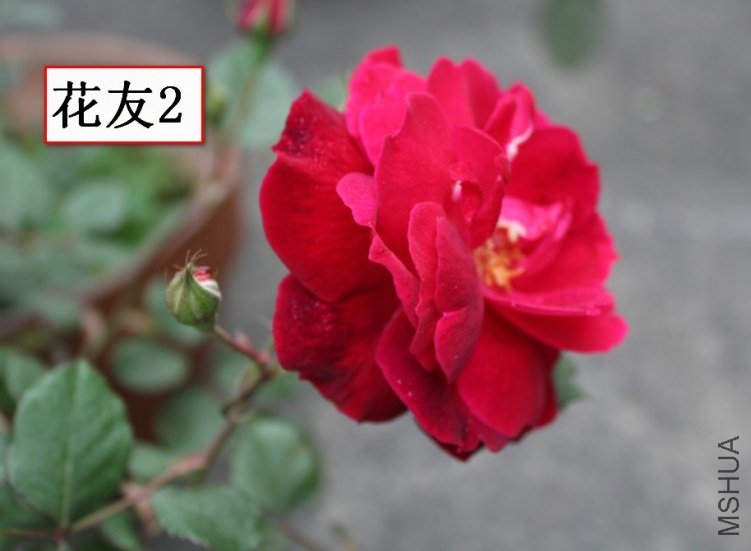2012-04-22_121007.jpg