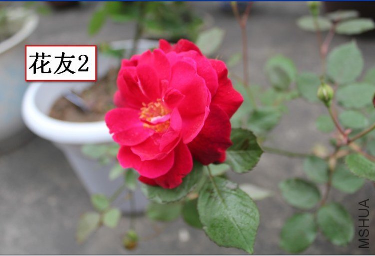 2012-04-22_121102.jpg