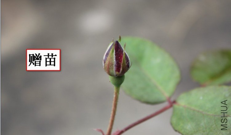 2012-04-22_121153.jpg