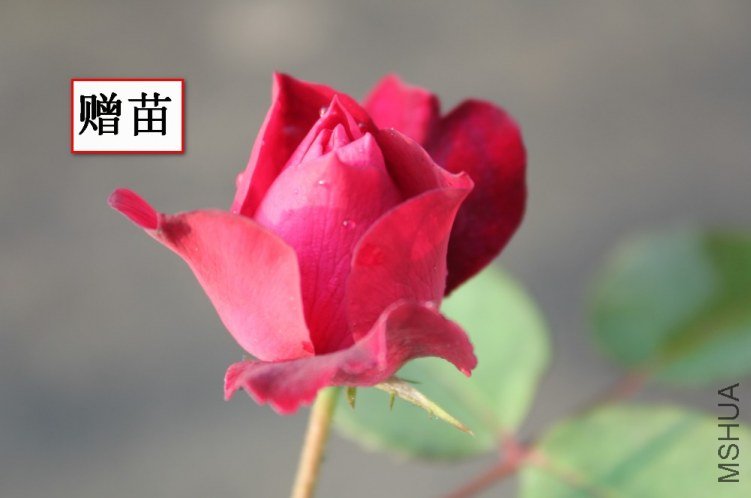 2012-04-22_121251.jpg