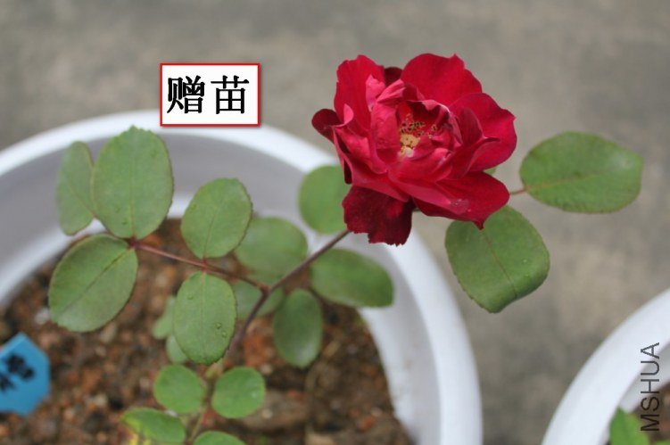 2012-04-22_121550.jpg