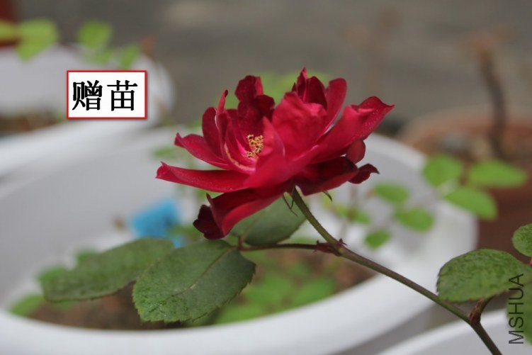 2012-04-22_121929.jpg
