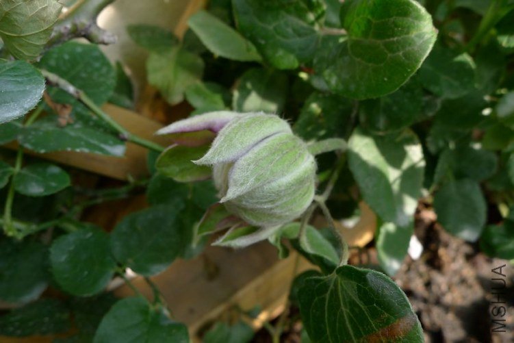 P1010755.JPG