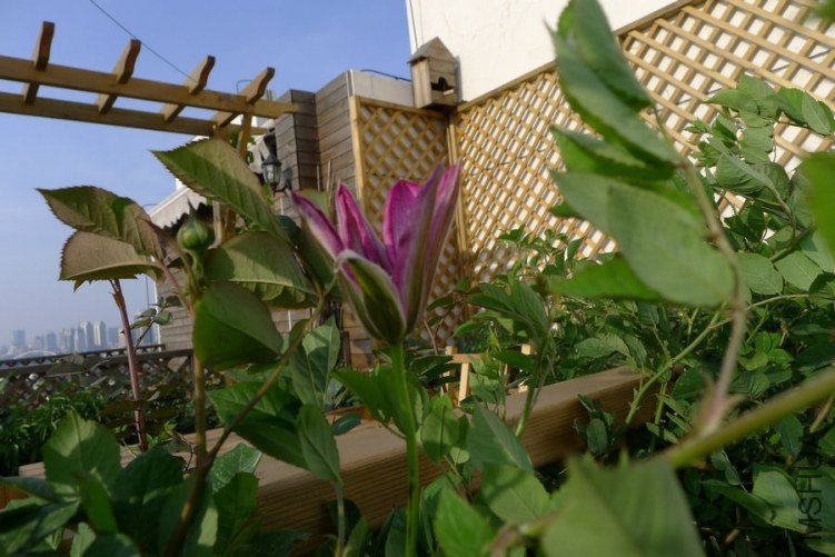P1010763.JPG