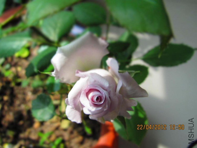 IMG_0870.JPG