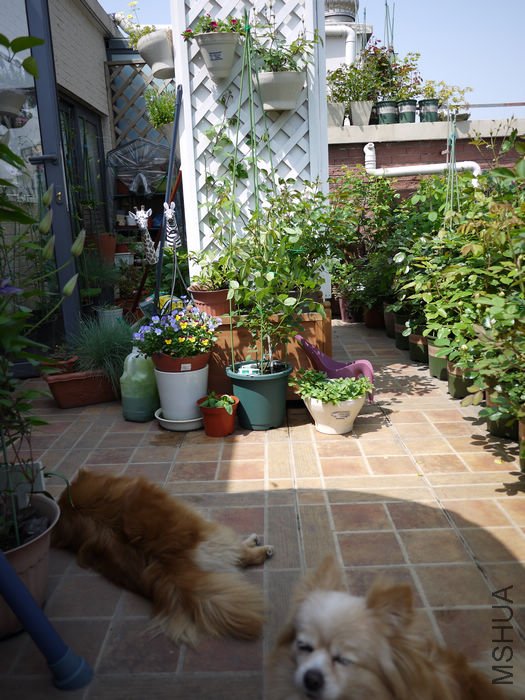 P1010668.jpg