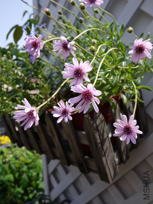 P1010642.jpg